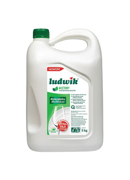 LUDWIK 5KG płyn do naczyń miętowy