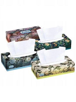 Chusteczki higieniczne Regina Harmonia 3w karton